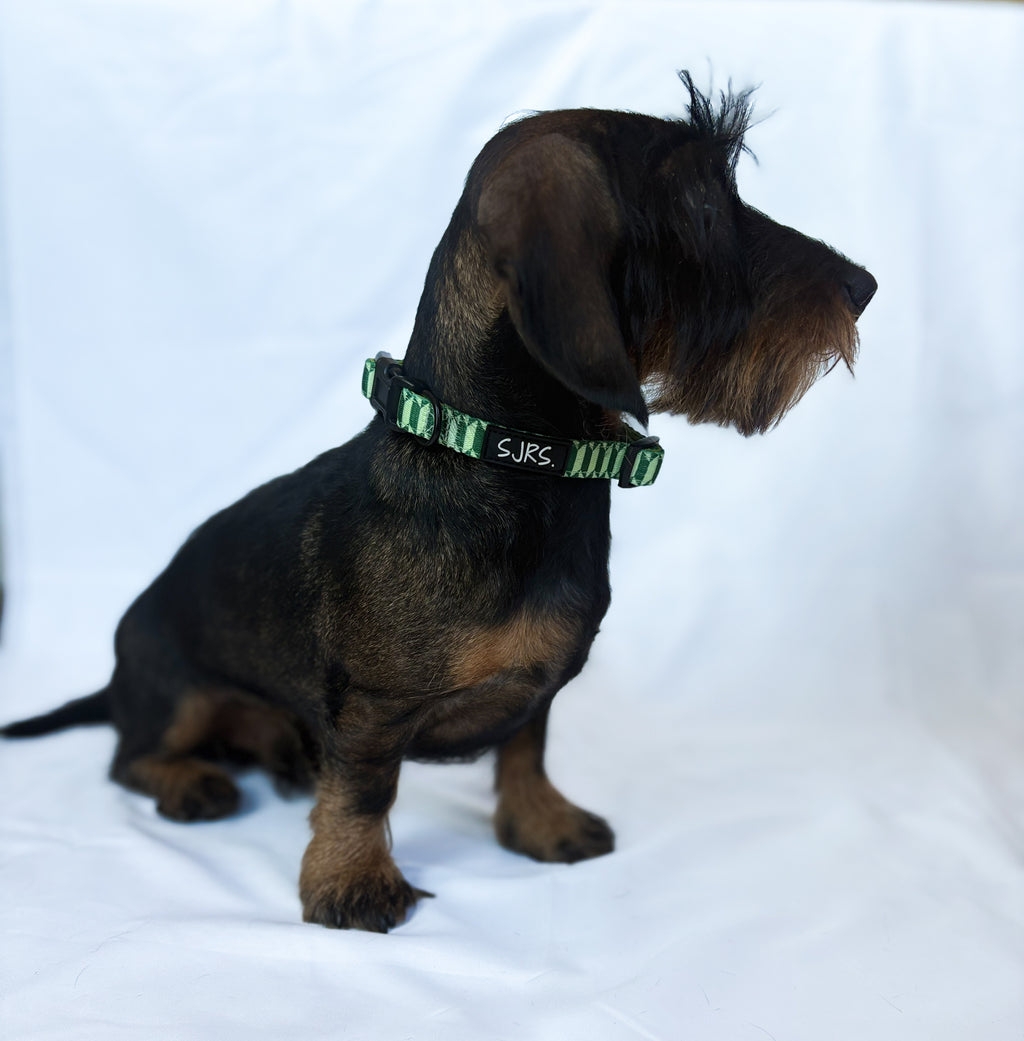Halsband - Urban Forest